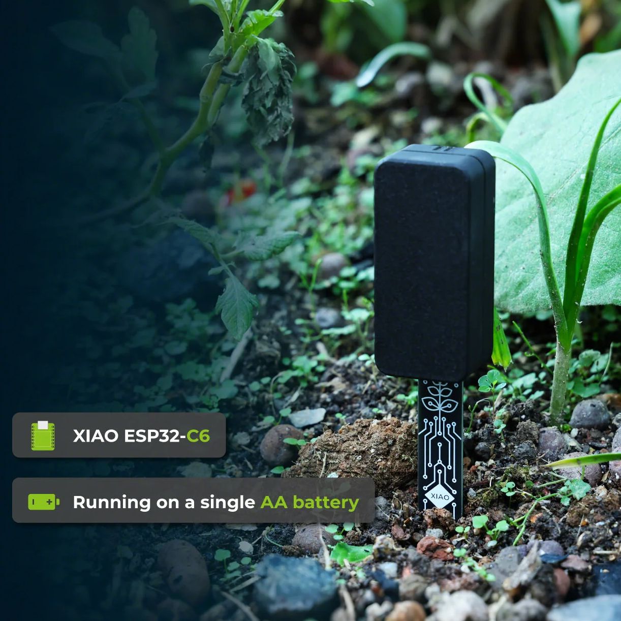 XIAO ESP32 C6 Soil Moisture Se - Home Automation Tutorial のレビューと価格