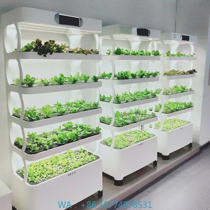 Hydroponic Automated Grow Syst - Home Automation Systems Diy のレビューと価格